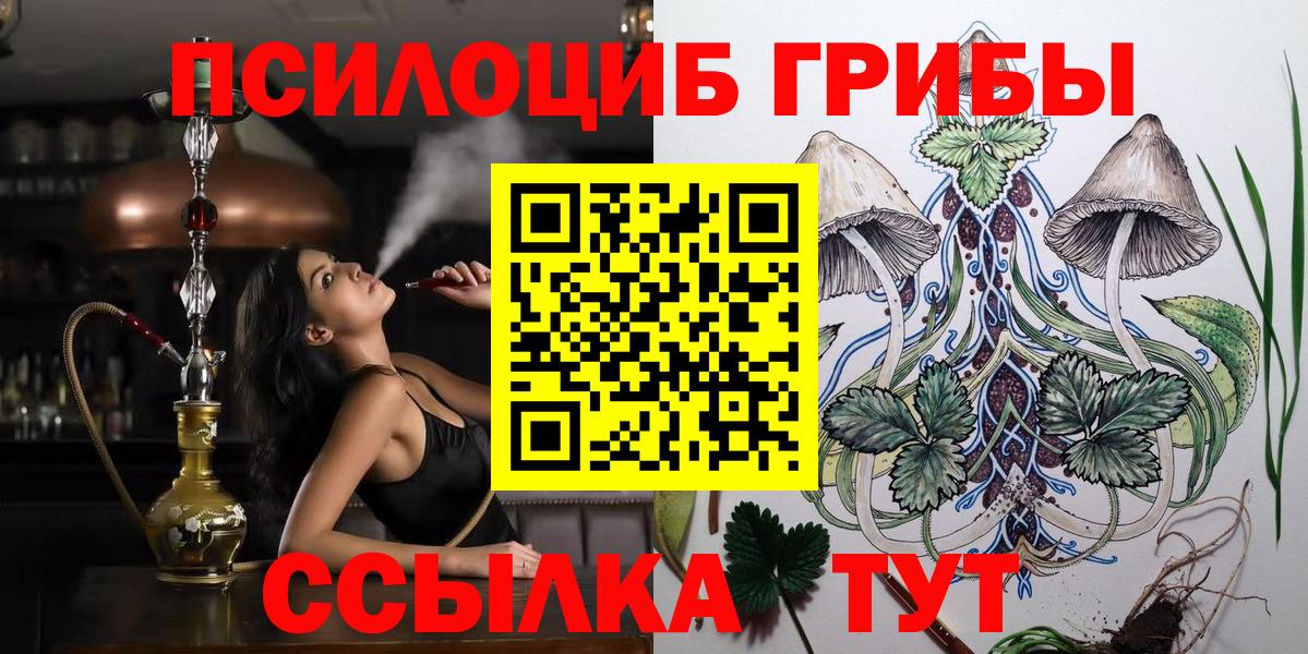 Южноуральск  Галлюциногенные грибы Psilocybine cubensis  Псилоцибиновые грибы Psilocybe  Вход с VPN 