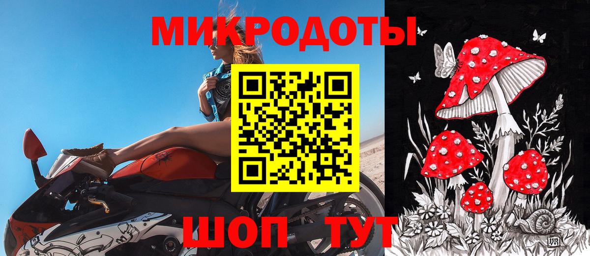 Псилоцибиновые грибы мицелий Южноуральск