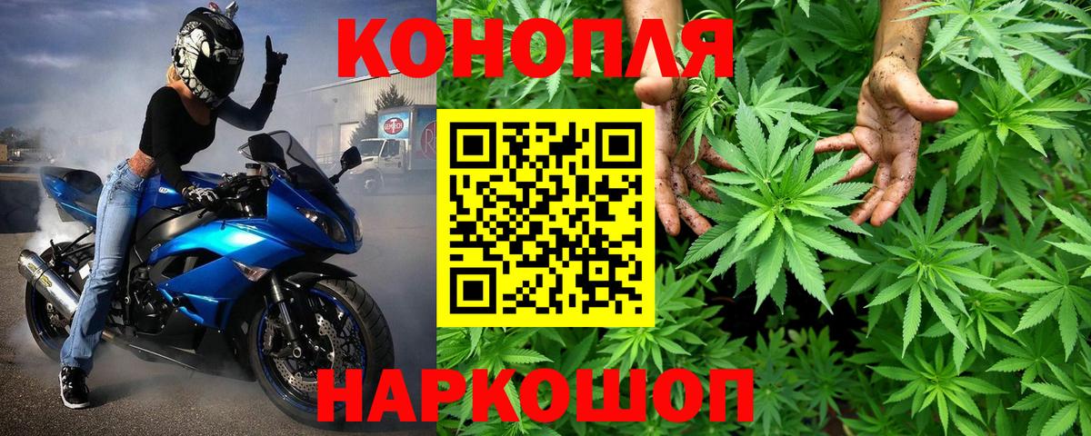 Канабис OG Kush Южноуральск
